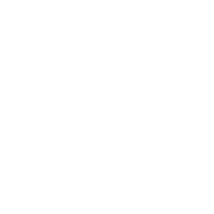ZAYN-logo